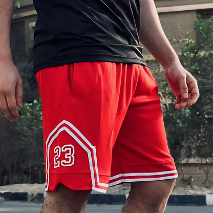 Jordan Dri-Fit Shorts