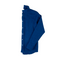 Blue Logo