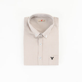 AE Striped Shirt