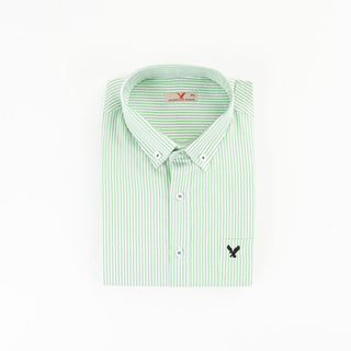 AE Striped Shirt