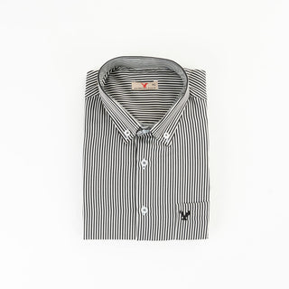 AE Striped Shirt