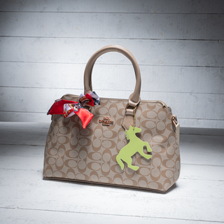 Coach Georgia Satchel Bag