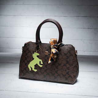 Coach Georgia Satchel Bag