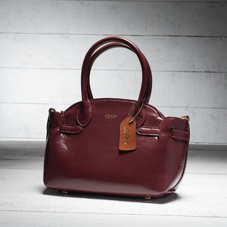 Coach Soft Empire Carryall Small
