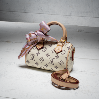 Louis Vuitton Nano Speedy Monogram Bag