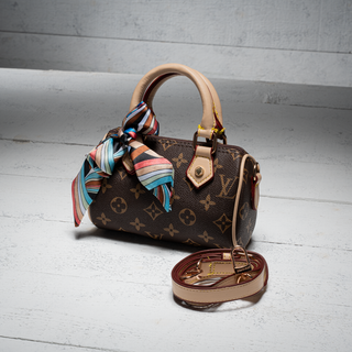 Louis Vuitton Nano Speedy Monogram Bag