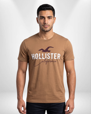 Hollister T-Shirt